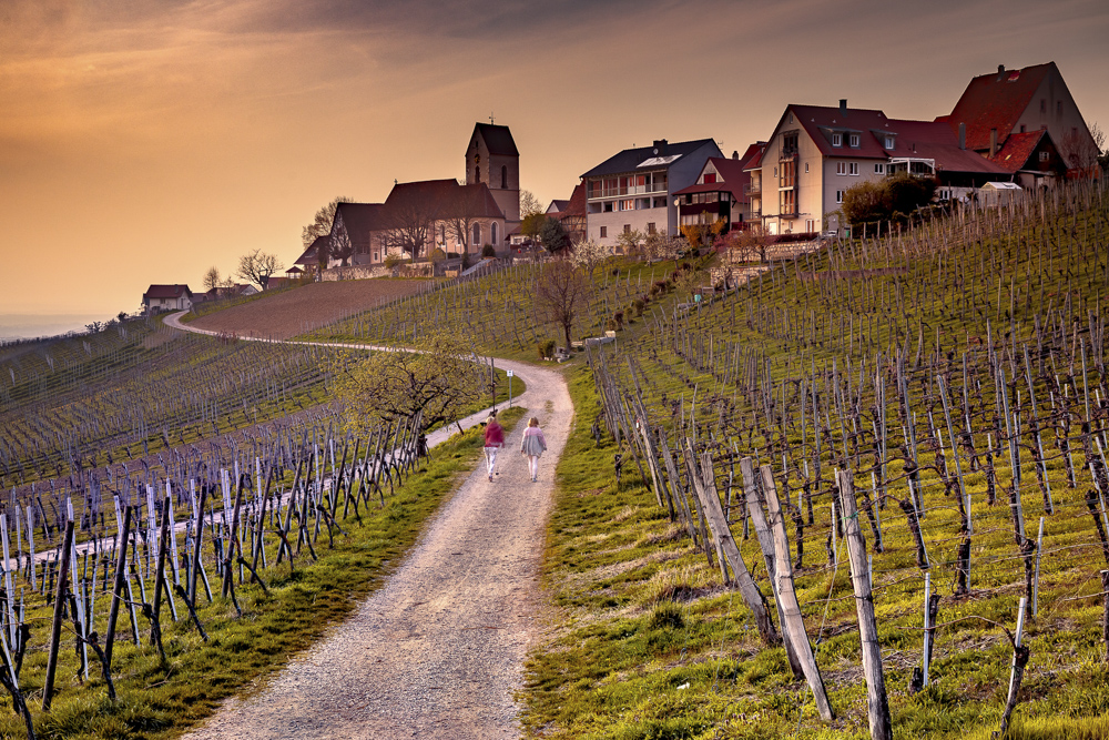 Platz 8 Anton Kienle